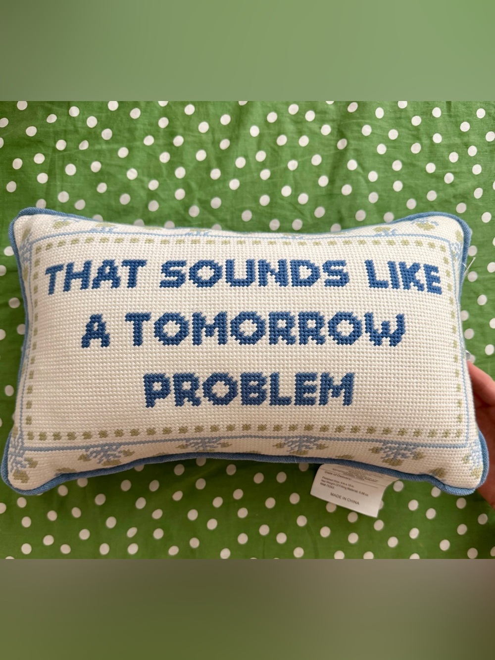 That sounds like a tomorrow problem needlepoint pillow nwt